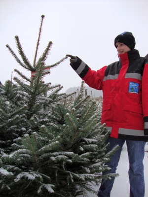 Christbaumverkauf kurz vor Weihnachten