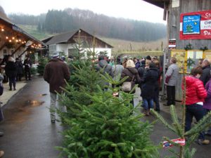 Hochsaison im Christbaumverkauf