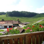 Aussicht vom Balkon des Ferienhauses