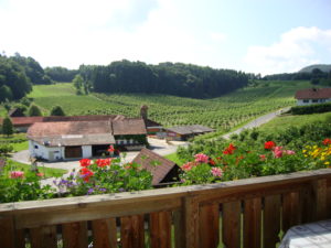 Aussicht vom Balkon des Ferienhauses