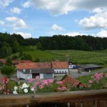 Aussicht von der Wohnung Hofblick