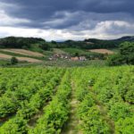Fernsicht auf Höflach