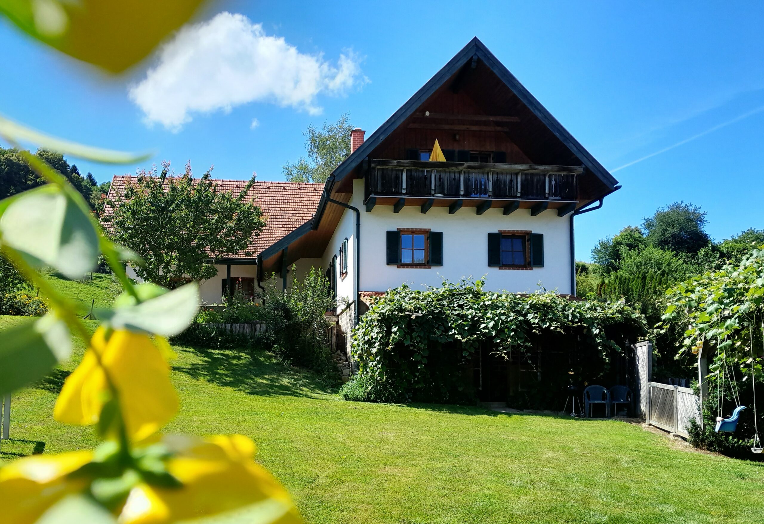 Ferienhaus im Sommer 2024